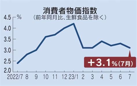 일본 7월 소비자물가 3 1 상승11개월째 3 웃돌아 이투데이