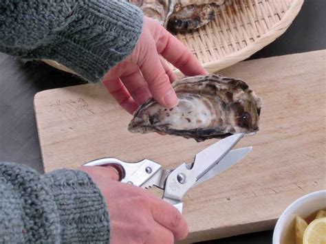 牡蠣の殻の簡単な開け方 【北海道食材百科】