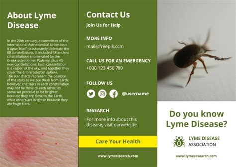 Personalize This Simple Lyme Disease Information Trifold Brochure