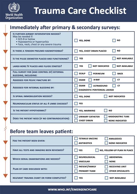 Trauma Informed Care Plan Template