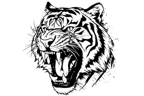 Premium Vector Tiger Head Hand Drawn Engraving Style Vector Illustration