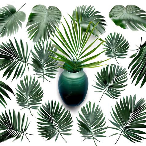 Premium Ai Image Green Palm Leaves Pattern With Vase For Nature