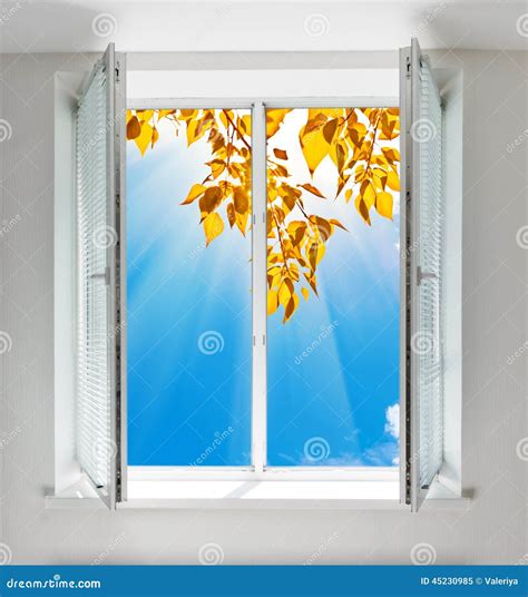 Autumn view from window stock image. Image of garden - 45230985