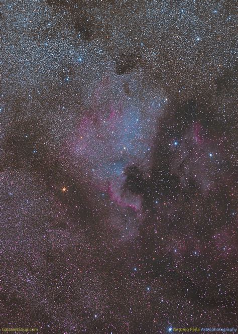 The North America Nebula In Cygnus Galaxies Soup