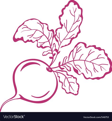 Radish With Leaves Pictograph Royalty Free Vector Image