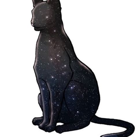 stream tifenn  listen  songs albums playlists