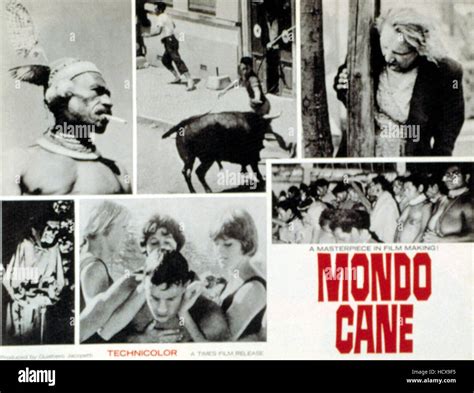 MONDO CANE 1962 Photo Stock Alamy