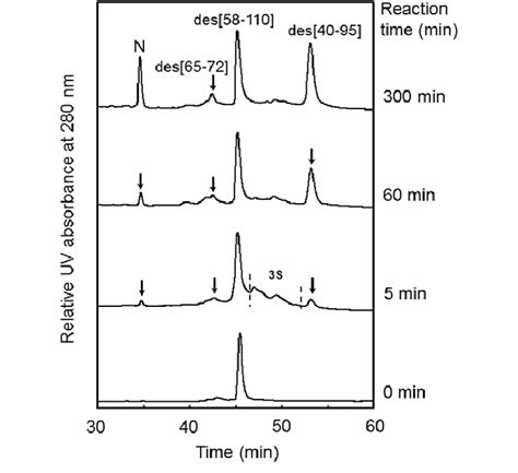 Hplc Chromatograms Obtained By Folding Of Isolated Des 58 110 Under An Download Scientific