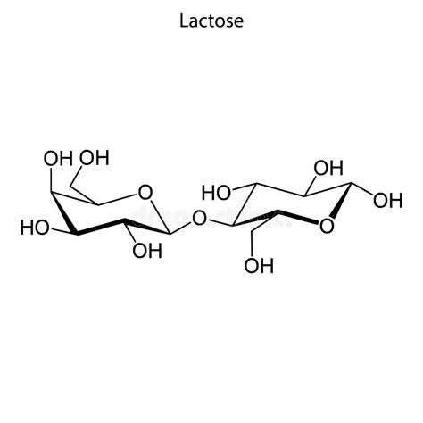 Lactose Chemical Formula Stock Vector Illustration Of Chemistry 156707324