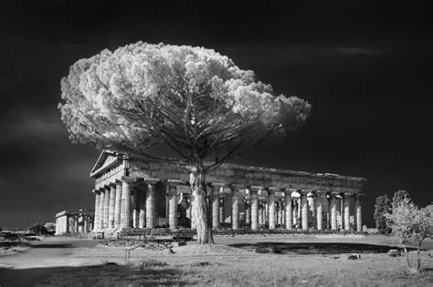 Paestum Aperta Al Museo Archeologico Nazionale La Mostra Paestum