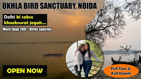 Okhla Bird Sanctuary Noida Best Photography Place In Delhi Hidden