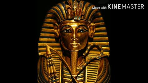 Discovering Tut The Saga Continues Class Xi Full Chapter