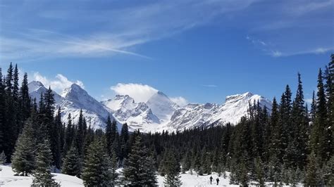 Alberta Hiking Fundraising - Alberta Hiking Association