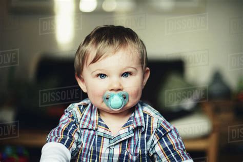 Baby Boy With Pacifier In His Mouth Portrait Stock Photo Dissolve