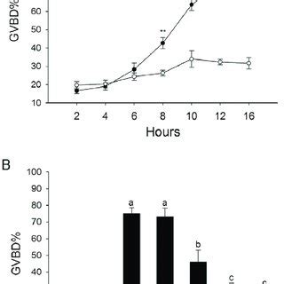 The Effect Of Pkc A And Bi Inhibitor G On Fshinduced Mouse Feos