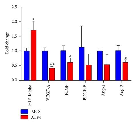 Atf4 Increases The Microvascular Density In Breast Cancer Tissue A