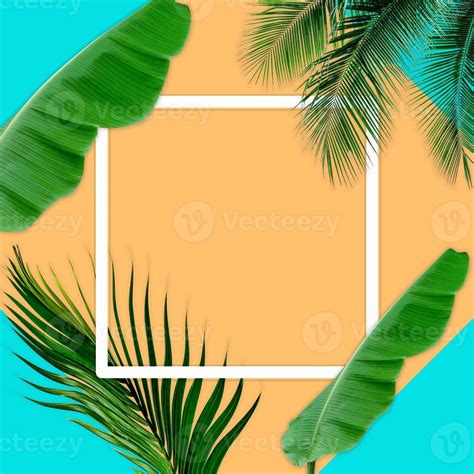 Green Palm Leaves Pattern For Nature Concept Tropical Leaf On Orange