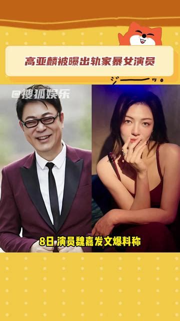 高亚麟被曝出轨家暴女演员，曾出演《家有儿女》夏东海 娱乐视频 搜狐视频