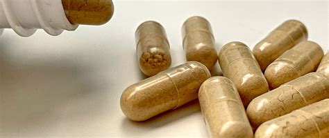 Cordyceps Dosage: How Much Should You Take? - Natures Rise