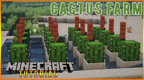 Minecraft Schematics Cactus Farm