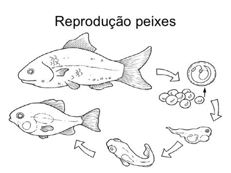 Blog Cientista Setembro 2017