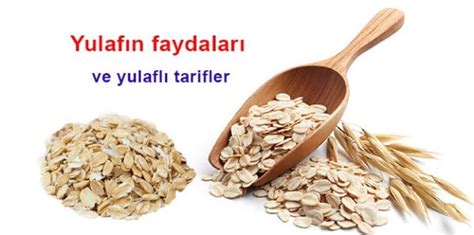 Yulaf Nedir Nas L T Ketilmelidir Yulaf N Faydalar Nelerdir