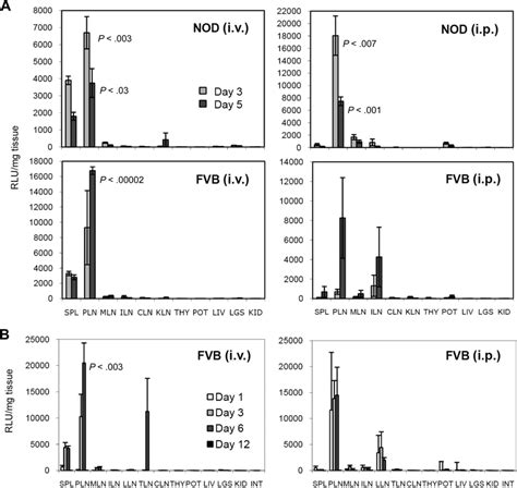 Ex Vivo Biodistribution Analysis Of Bm Dc Homing A Relative