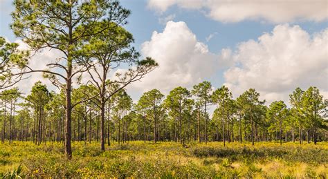 Utilities | Polk County Water Restrictions | Polk County FL