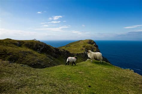 In pictures: The magnificent cliffs in Ireland that tourists don't tend ...