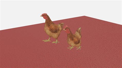 3d Hen Model Turbosquid 1643614