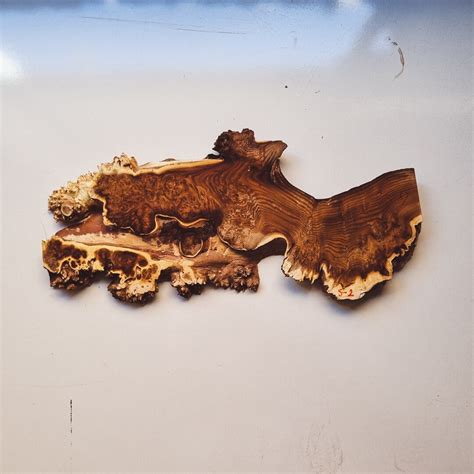 Silverberry Burl Wood Silverberry Slab Cap Live Edge Wood Dried Burl Slabs For Epoxy And