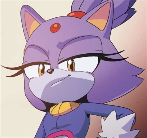 Smug Blaze Sonic The Hedgehog Know Your Meme