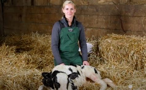 Calf Management Video Series Calf Sessions