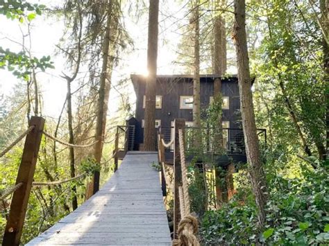 Best Usa Treehouse Rentals Top Treehouses