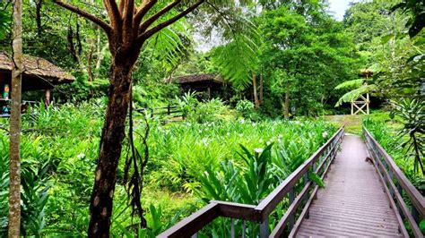 嶄新開啟，土城後花園秘境，五星級的原住民族生態公園 健行筆記