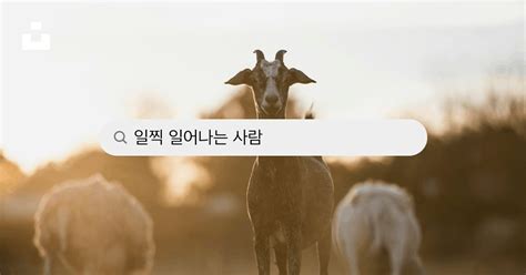 일찍 일어나는 사람 사진 Unsplash에서 무료 이미지 다운로드