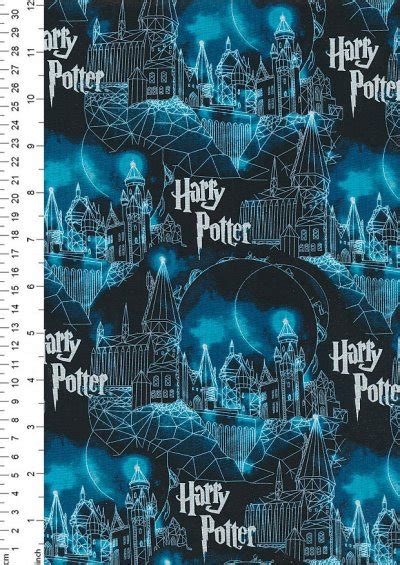 Camelot Licensed Print Harry Potter Hogwarts Moon