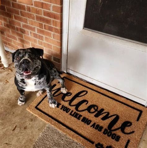 Welcome Hope You Like Big Ass Dogs Doormat Funny Pet Lover Welcome Mat