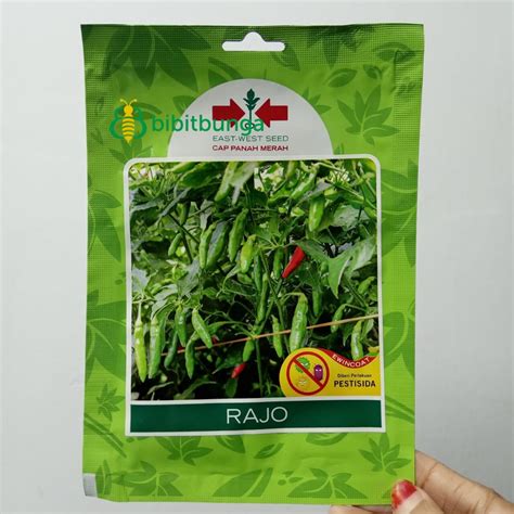 Jual Benih Bibit Cabe Rawit Rajo 350 Biji Cabai Tanaman Sayuran Panah