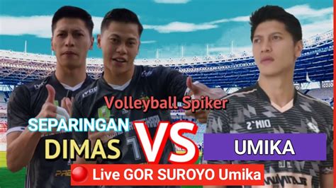 LIVE SPIKE DIMAS SAPUTRA PROLIGA TIMNAS VS UMIKA BEKASI VOLLEYBALL