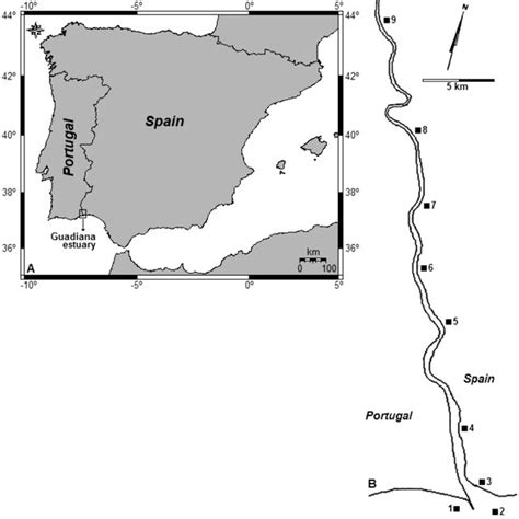 Sardina Pilchardus Abundance And Distribution Of Sardine Eggs