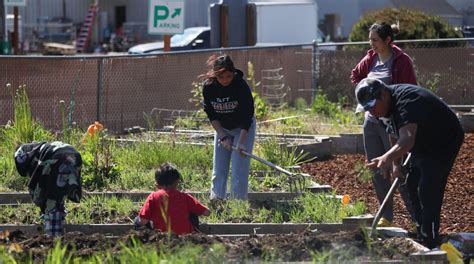 Through Juntos En El Jardin Families Come Together To Grow Their Own