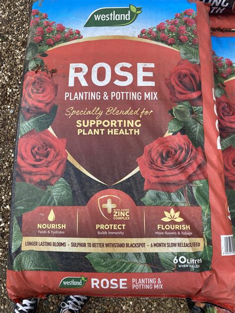 Rose Planting 50L Westland - Wheatley Farm Garden Centre