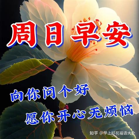 周日早上好，温馨暖心早安祝福图片语问候语 知乎