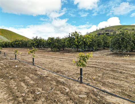 Find Inmates in Porterville, CA: Porterville Inmate Search Database 1