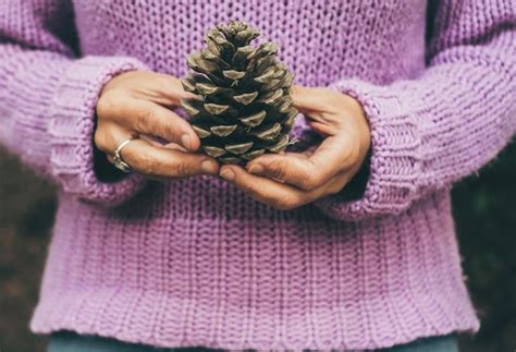 Premium Photo Midsection Of Woman Holding Pine Cone