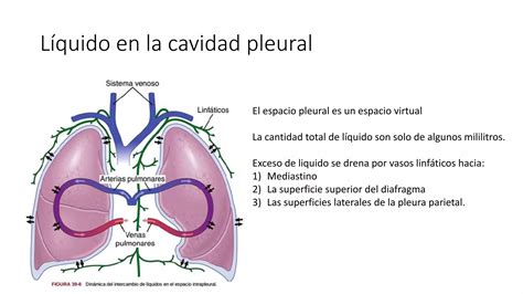 3a Part Fisio Pulm Pptx