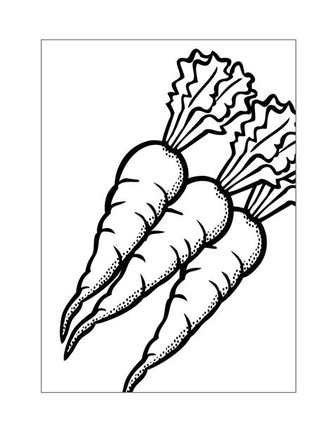 Carrot Coloring Pages Printable Coloring Pages