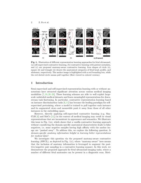 Anatomy Aware Contrastive Representation Learning For Fetal Ultrasound Deepai