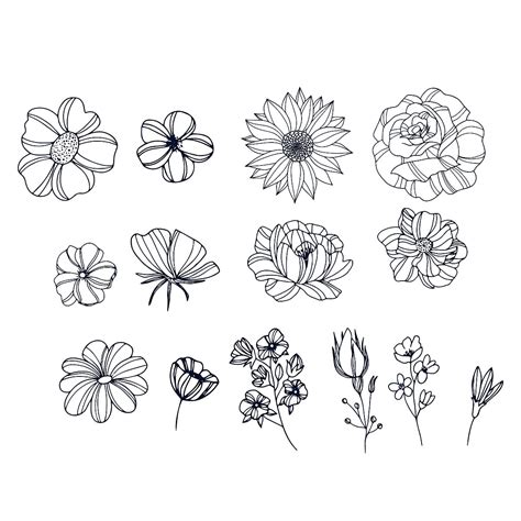 Hand Drawn Element Vector Design Images Hand Drawn Floral Elements